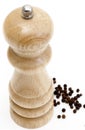 Peppermill from a high angle Royalty Free Stock Photo