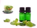 Peppermint aroma oil on white background