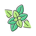 peppermint aromatherapy color icon vector isolated illustration