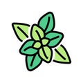 peppermint aromatherapy color icon vector isolated illustration