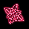 peppermint aromatherapy neon glow icon illustration