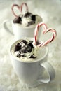 Peppermint candy cane hot cocoa Royalty Free Stock Photo