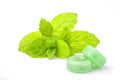 Peppermint candy with sprig mint . Royalty Free Stock Photo