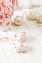 Peppermint chocolate cake pops