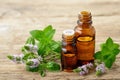 Peppermint essential oil and fresh peppermint flowers on the wooden table