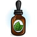 Peppermint Essential Oil Vector Illustration