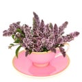 Peppermint Flower Leaf Tea in Pink Teacup Royalty Free Stock Photo