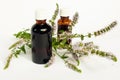 Peppermint flowers with mint essential oil in two small bottles