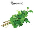 Peppermint