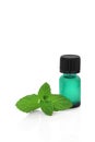 Peppermint Herb Essence Royalty Free Stock Photo