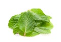 Peppermint herb leaf Royalty Free Stock Photo