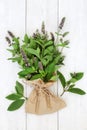 Peppermint Herb for Seasoning and Herbal Medicine Royalty Free Stock Photo