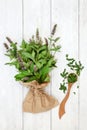 Peppermint Herb for Natural Herbal Medicine Royalty Free Stock Photo