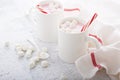 Peppermint hot chocolate with candy canes Royalty Free Stock Photo