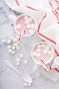 Peppermint hot chocolate with candy canes Royalty Free Stock Photo