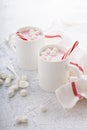 Peppermint hot chocolate with candy canes Royalty Free Stock Photo