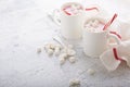 Peppermint hot chocolate with candy canes Royalty Free Stock Photo