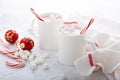 Peppermint hot chocolate with candy canes Royalty Free Stock Photo