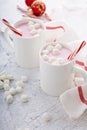 Peppermint hot chocolate with candy canes Royalty Free Stock Photo