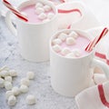 Peppermint hot chocolate with candy canes