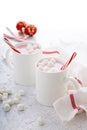 Peppermint hot chocolate with candy canes Royalty Free Stock Photo