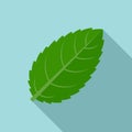 Peppermint icon, flat style