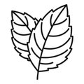 Peppermint icon, outline style