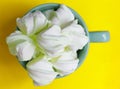 Peppermint large marshmallows in a big green cup Royalty Free Stock Photo