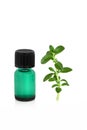 Peppermint Leaf and Essence Royalty Free Stock Photo