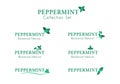 Peppermint logotype collection set with bubble splash vector