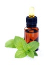 Peppermint oil Royalty Free Stock Photo
