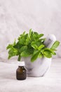 Peppermint oil and fresh mint leaves over wooden table