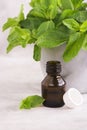 Peppermint oil and fresh mint leaves over wooden table