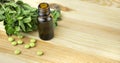 Peppermint oil in a glass bottle with fresh mint leaves on a wooden table. Copy space Royalty Free Stock Photo