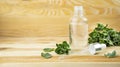 Peppermint oil in a glass bottle with fresh mint leaves on a wooden table. Copy space Royalty Free Stock Photo