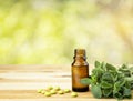 Peppermint oil in a glass bottle with fresh mint leaves on a wooden table. Copy space Royalty Free Stock Photo