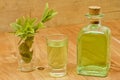 Peppermint plant, liqueur bottle and shot