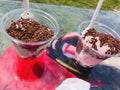 peppermint stick ice cream with chocolate sprinkles.