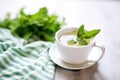 peppermint tea in cup with fresh mint bundle, white cloth