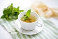 peppermint tea in cup with fresh mint bundle, white cloth