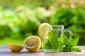 Peppermint tea with lemon Royalty Free Stock Photo