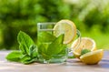 Peppermint tea with lemon Royalty Free Stock Photo