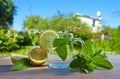 Peppermint tea with lemon Royalty Free Stock Photo