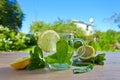 Peppermint tea with lemon Royalty Free Stock Photo