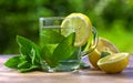 Peppermint tea with lemon Royalty Free Stock Photo