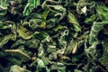 Peppermint tea macro background Royalty Free Stock Photo