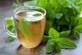 peppermint tea in a mug with fresh peppermint leaves on table Royalty Free Stock Photo