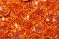 Pepperoni or Chorizo Slices Pattern. Ingredients for meat pizza. Royalty Free Stock Photo