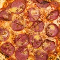 Pepperoni pizza closeup.