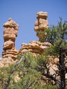 Pepperpot Rocks in Red Canyon National Park, Utah, USA Royalty Free Stock Photo